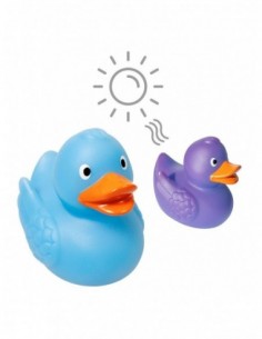 Squeaky duck, colour...
