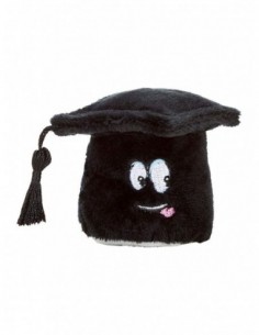 SchmooziesÂ® graduates hat