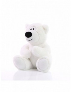 SchmooziesÂ® recycleBear ice
