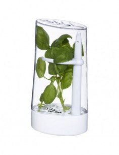 Conserva erbe aromatiche Versil - Solido Bianco