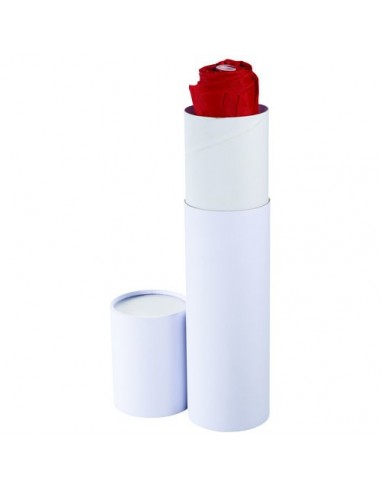 Cilindro portaombrelli da regalo - Solido Bianco