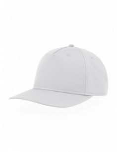 Ray-S
