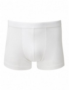 Classic Shorty 2 Pack